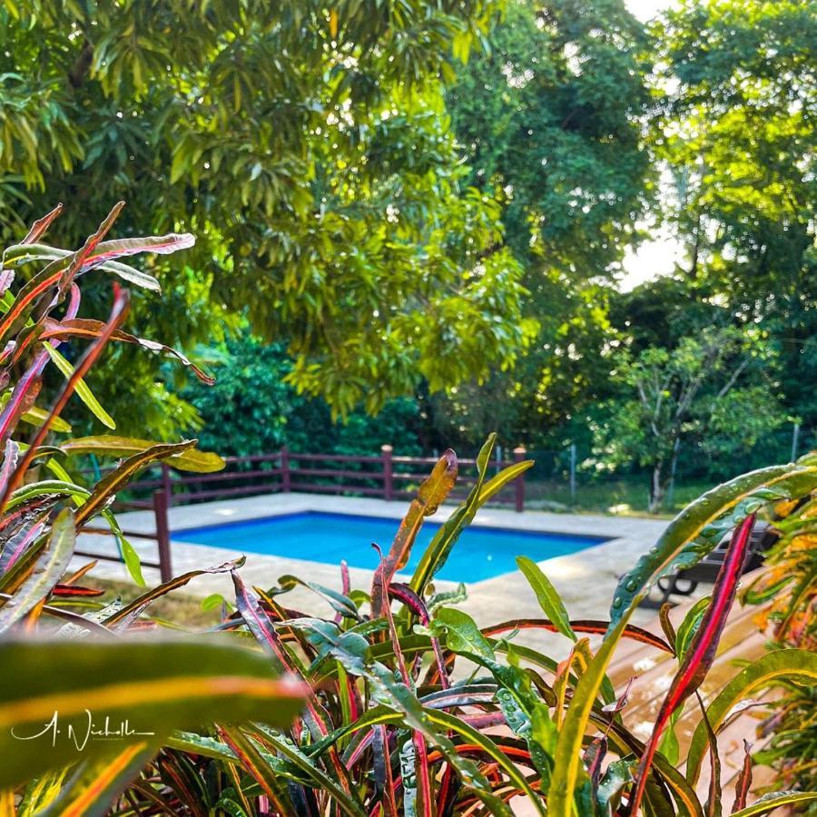 Tropical Apartments Tobago สการ์โบโร ภายนอก รูปภาพ